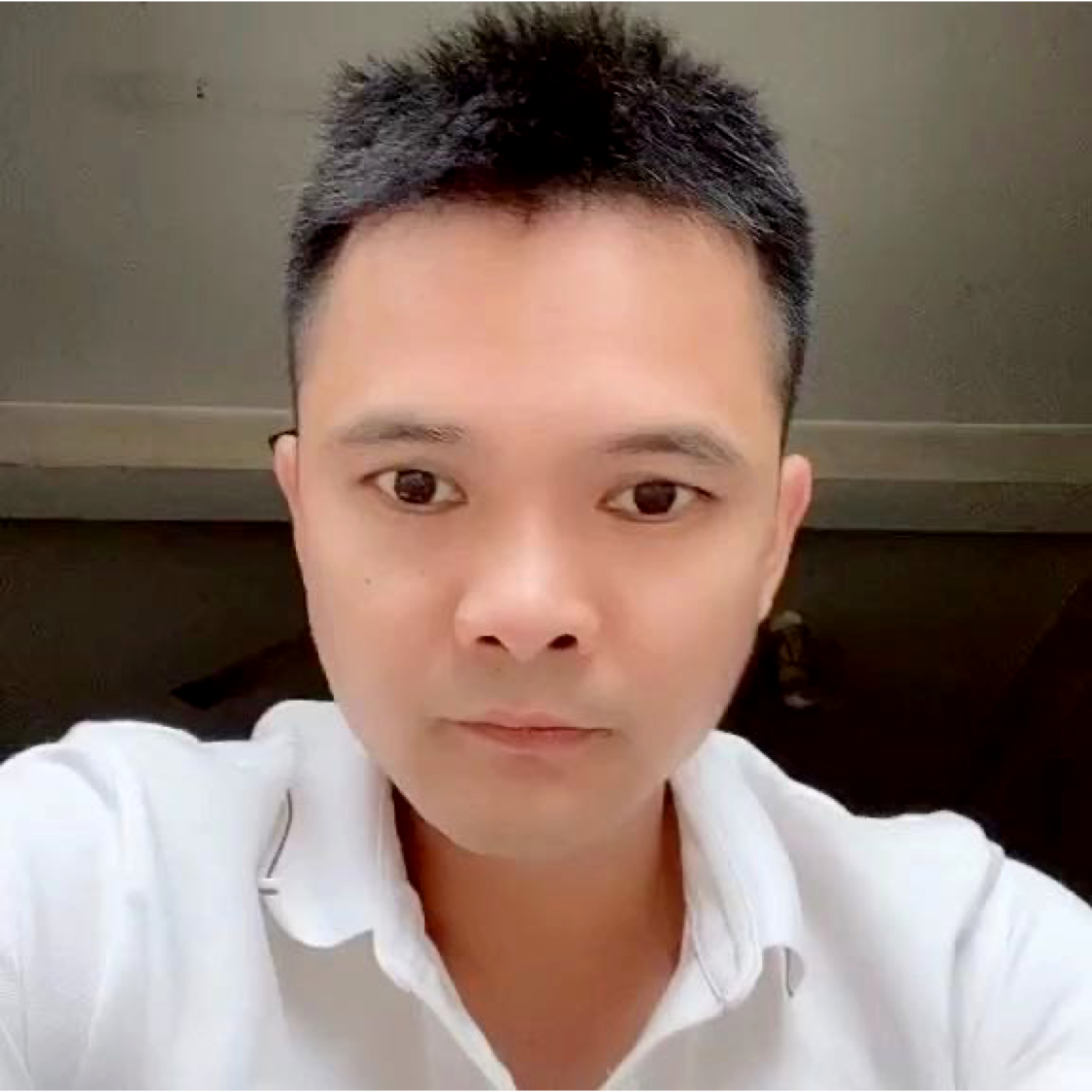 阳光总在风以后。的照片