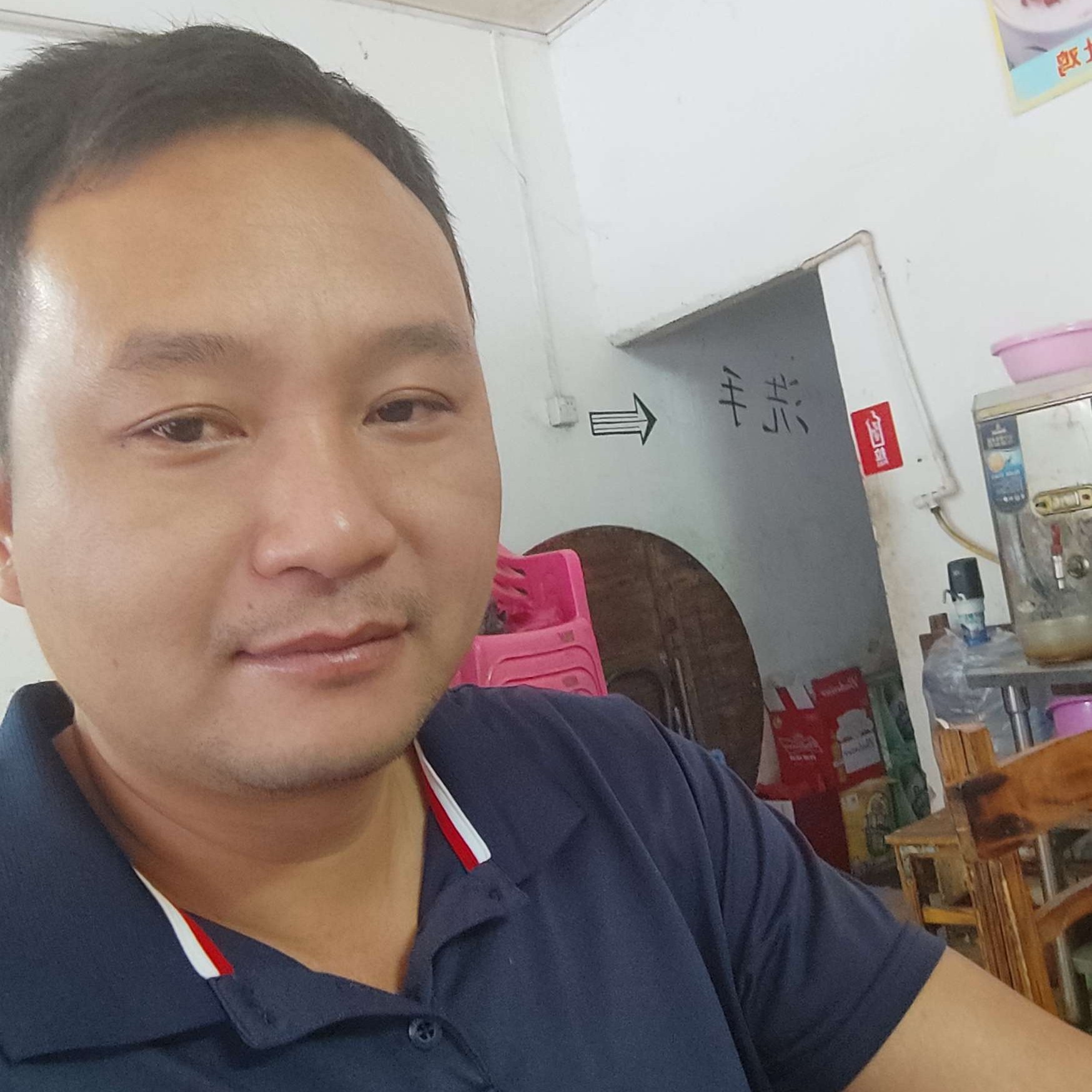 小小柳的照片
