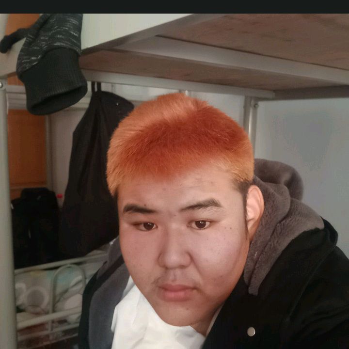 面包漫步健忘的照片