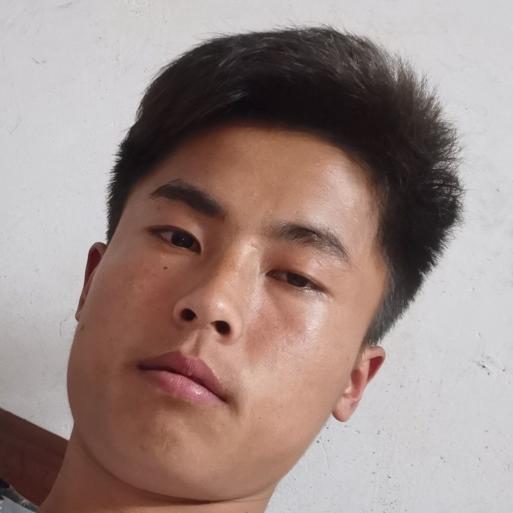 无心还冬日的照片