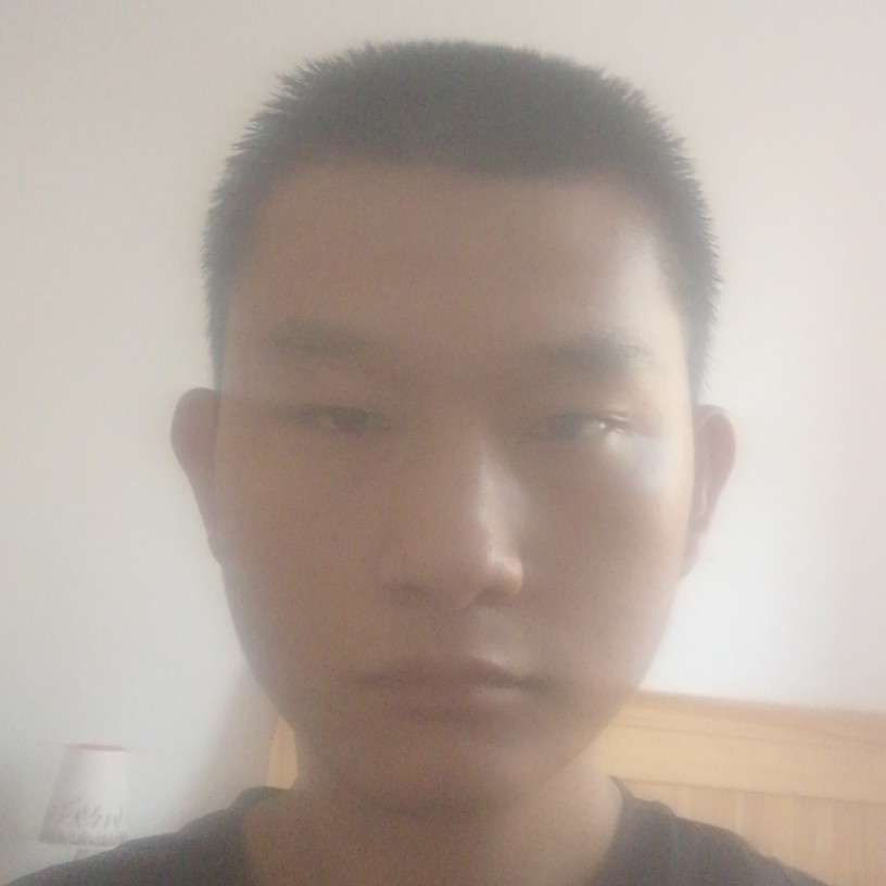 聪明的小王子的照片