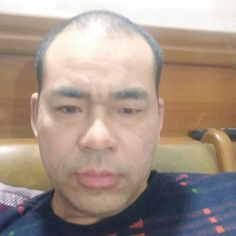 发嗲向日葵的照片
