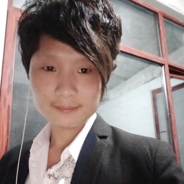 小蜜蜂演变温柔的照片