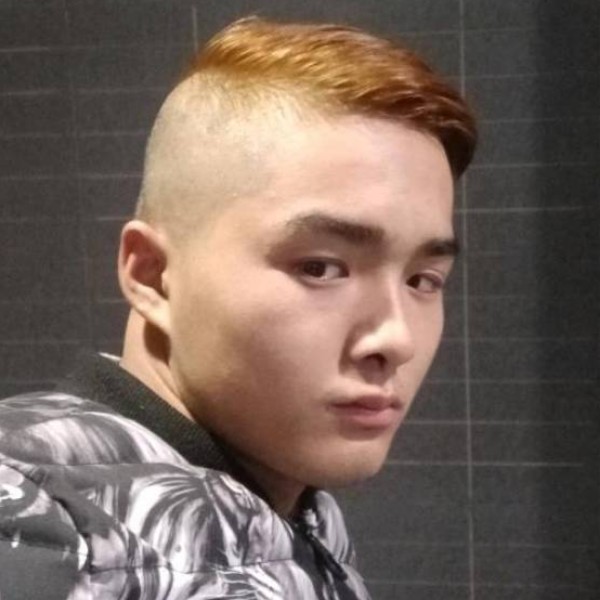 小鸽子明亮的照片