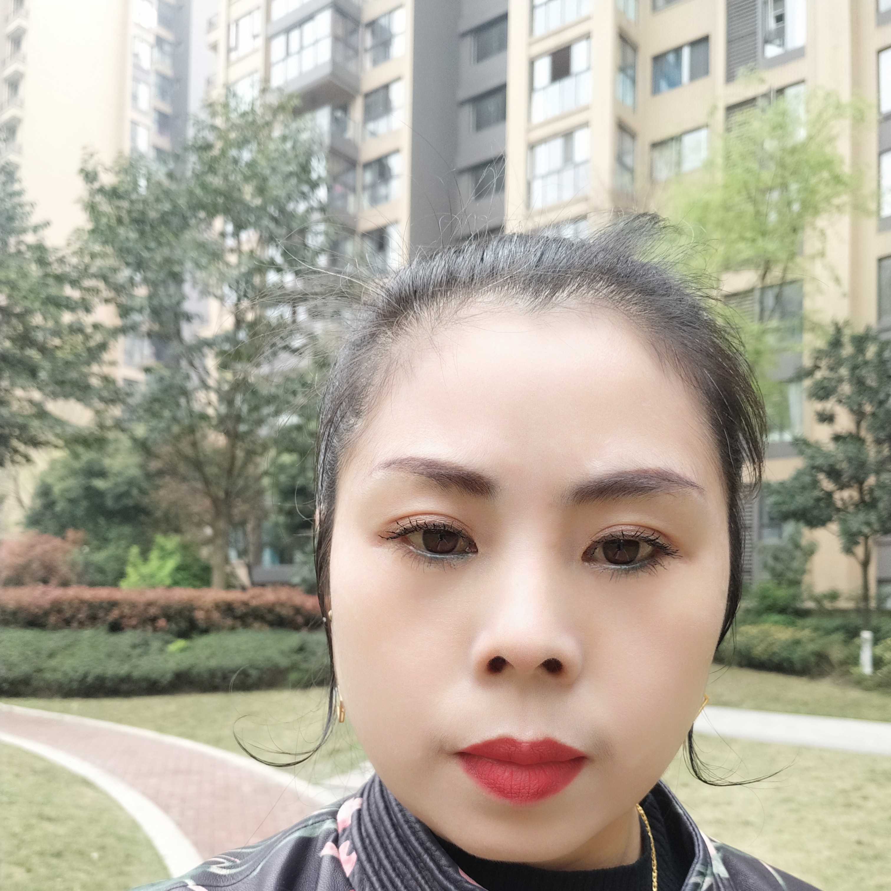 灰狼与温暖的照片