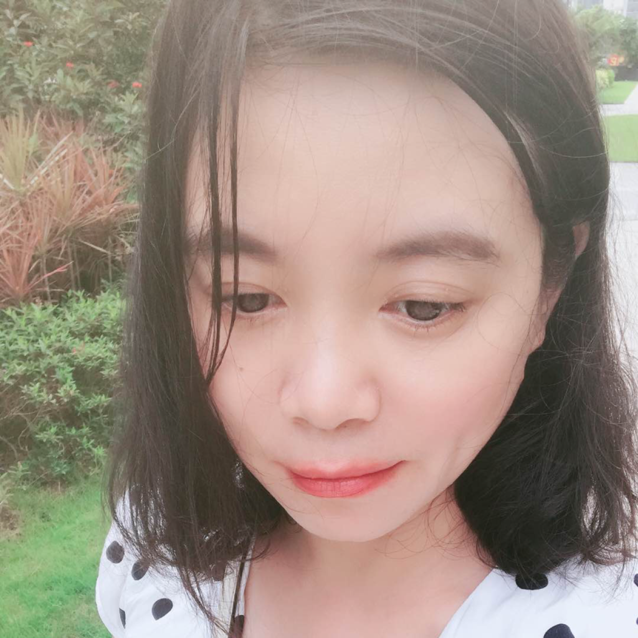 橘子橙子的照片
