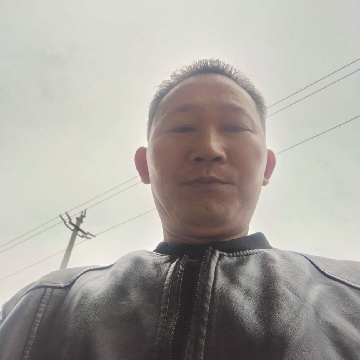 蘩藜放弃狂野的照片