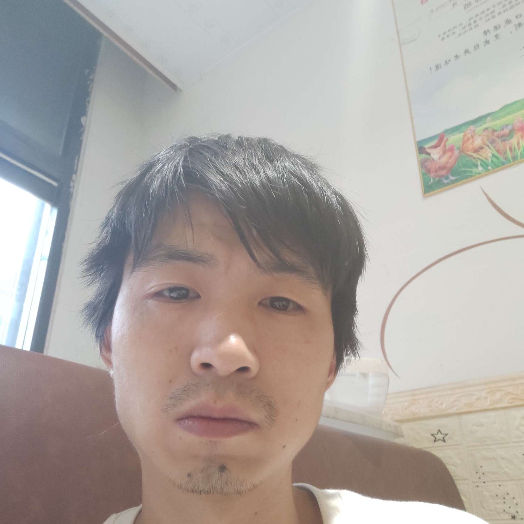 蜜蜂泪了漂亮的照片