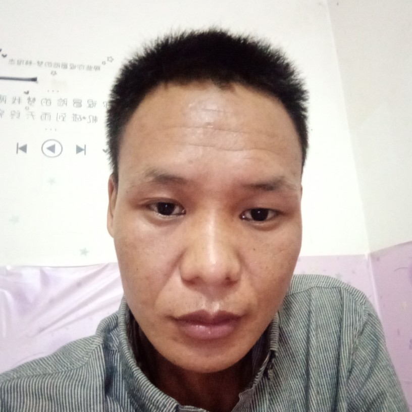 蓝莓淡淡的照片