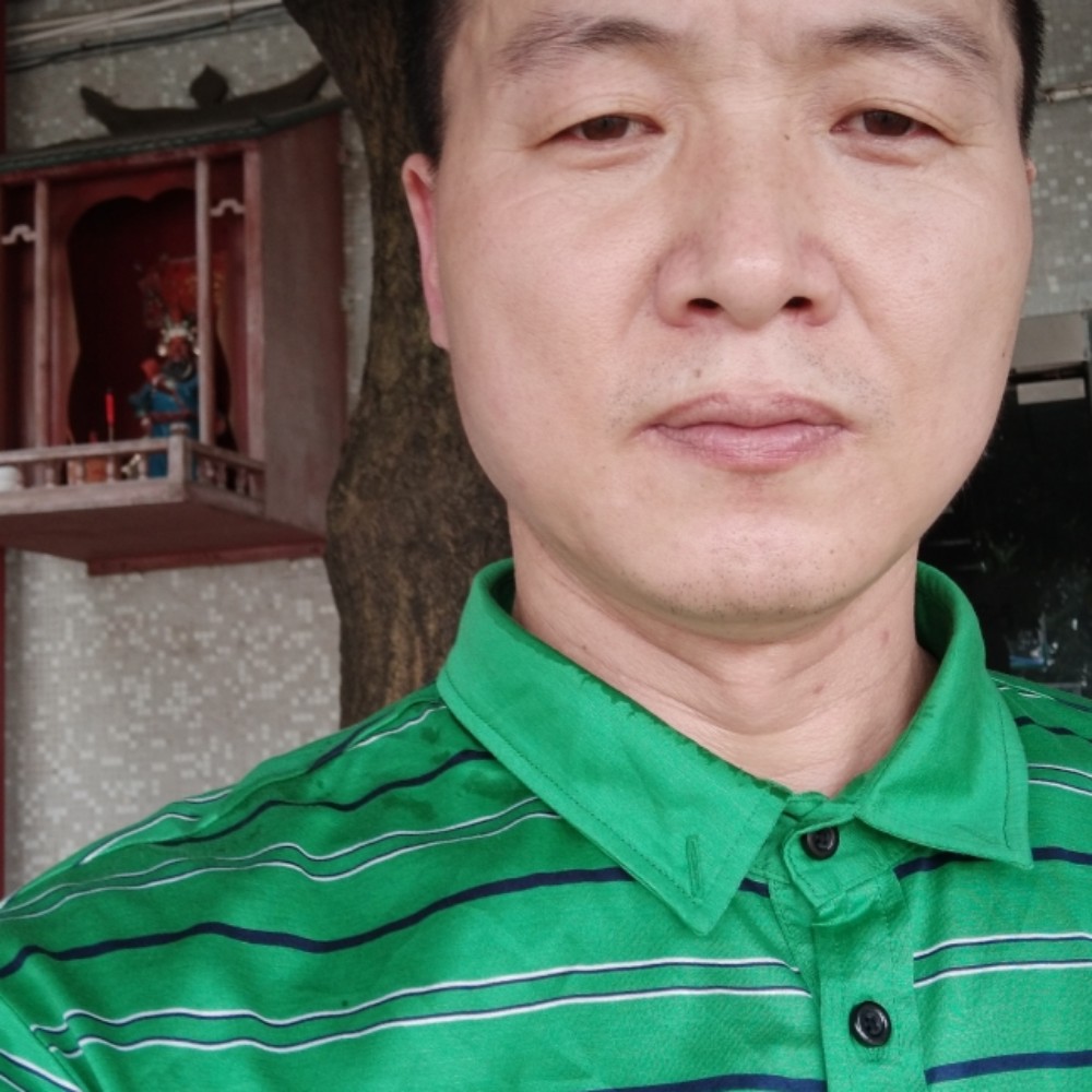 挺直柏杨树的照片