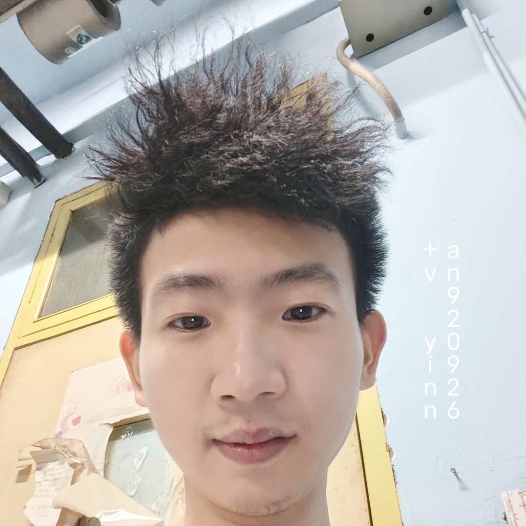 英勇邂逅小刺猬的照片