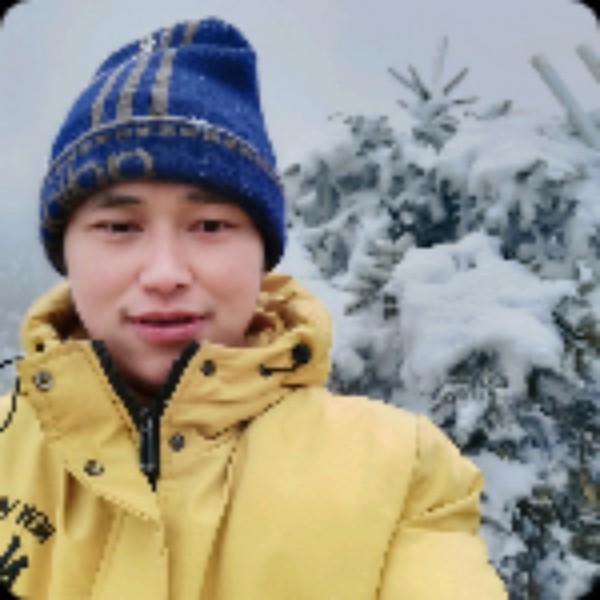 沉静爱恋乌冬面的照片