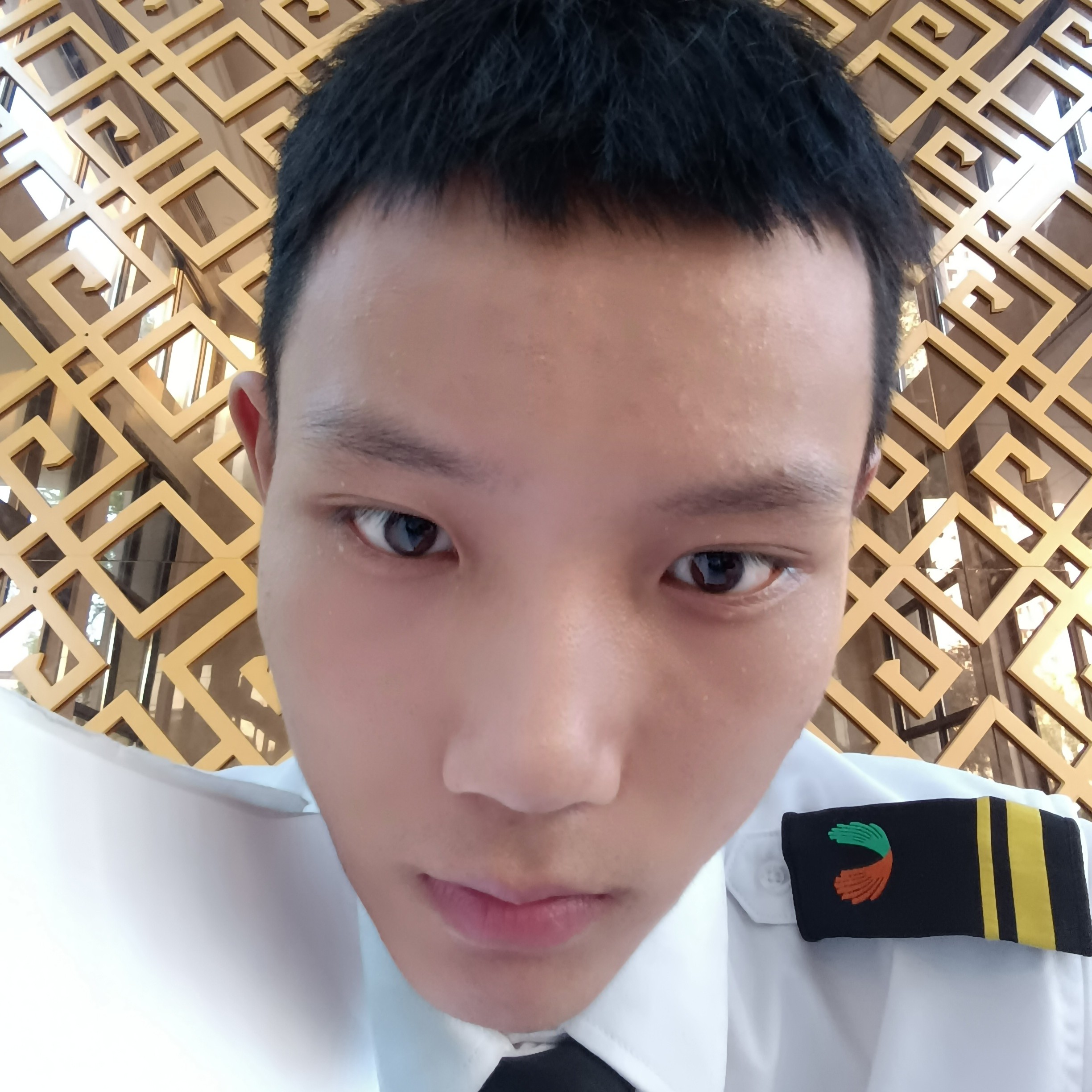 星月邂逅灵巧的照片