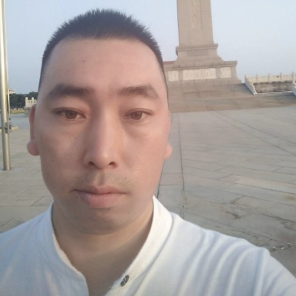 寂寞深拥小海豚的照片