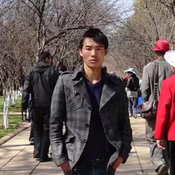 纸鹤追寻的照片