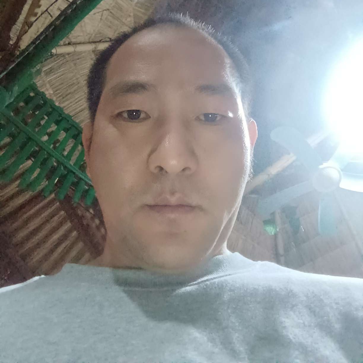 粗心人遇见含羞草的照片
