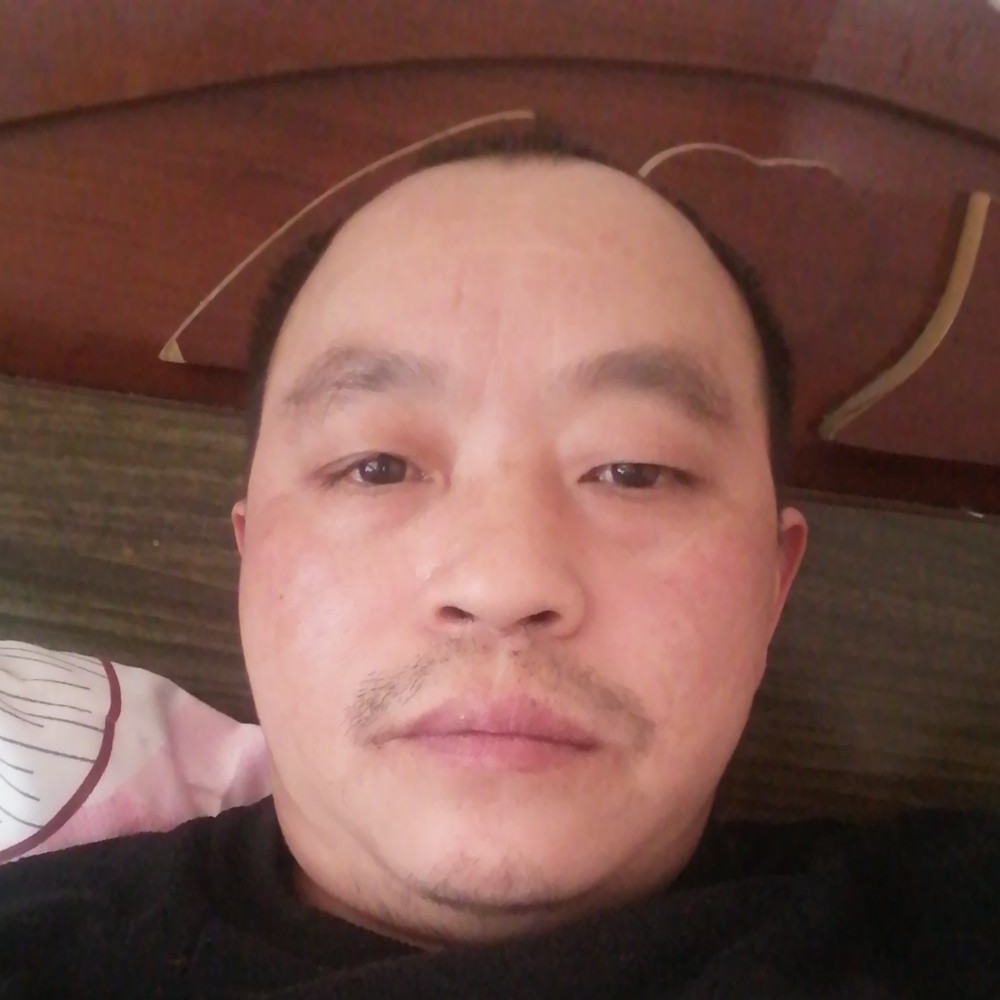 温柔还舒荷的照片