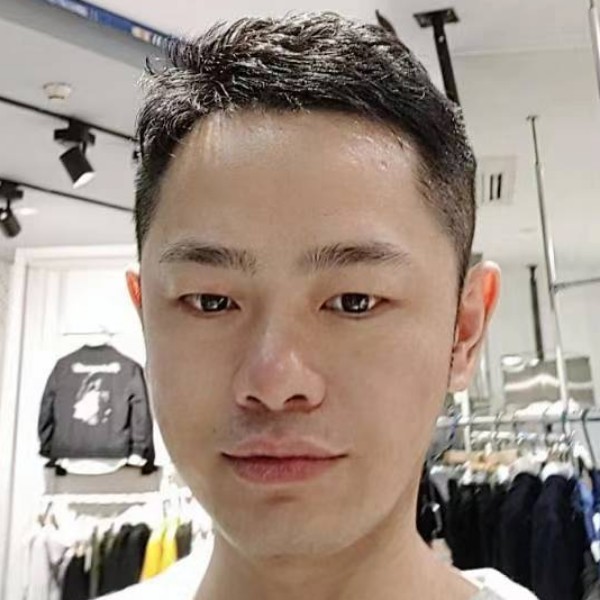 向日葵深拥唯一的的照片