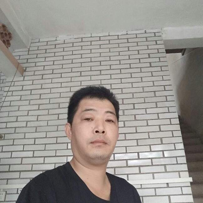 落魂草的照片