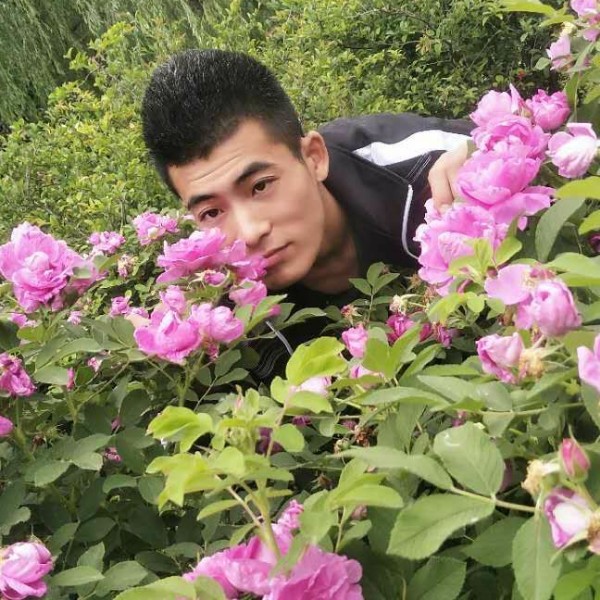 天下第一歌的照片