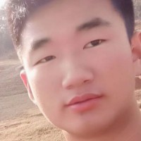 華麗凝眸老虎的照片