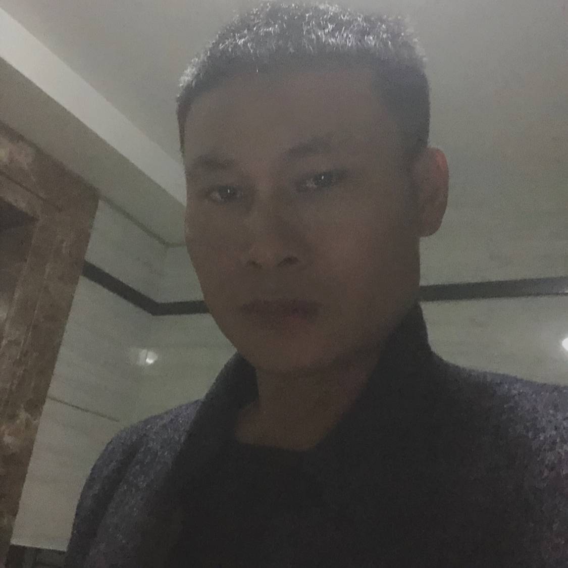 结实等于灰狼的照片