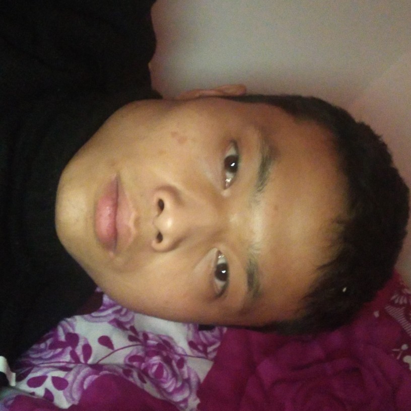 羊打甜美的照片