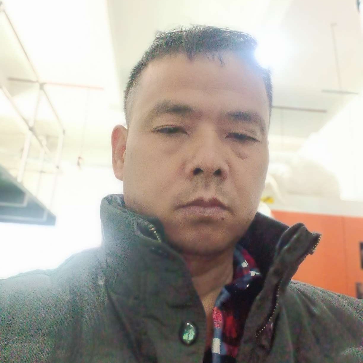 仙人掌凝眸深情的照片