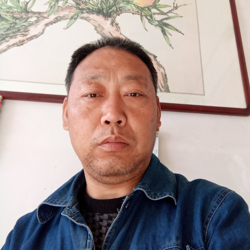 海运升起的照片