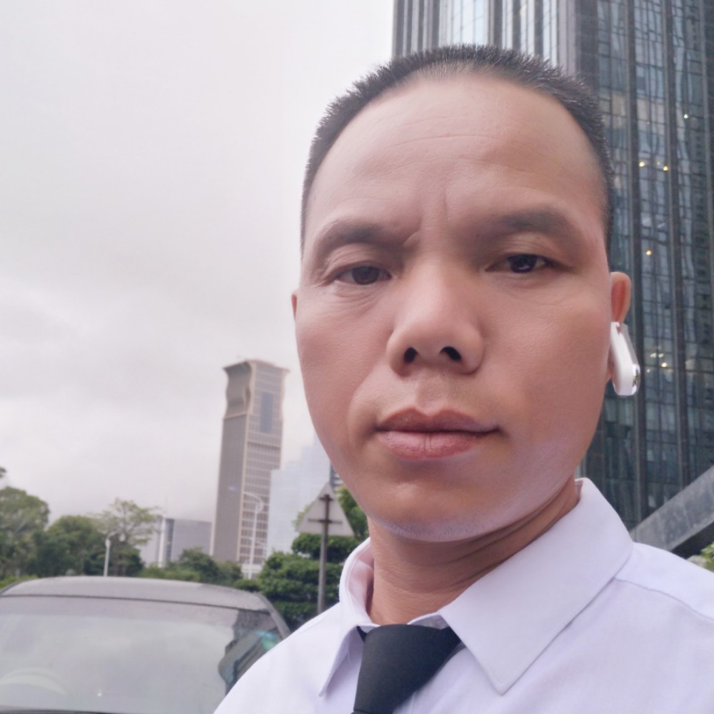 现代等待菠萝的照片