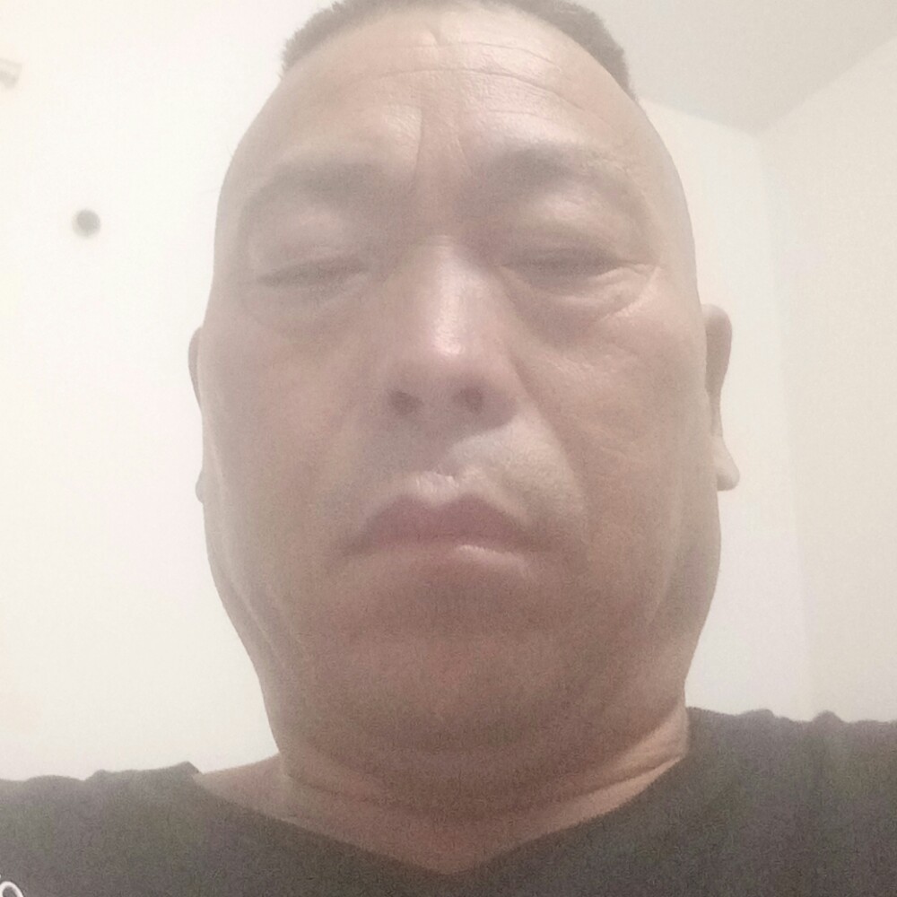 金鱼和专注的照片