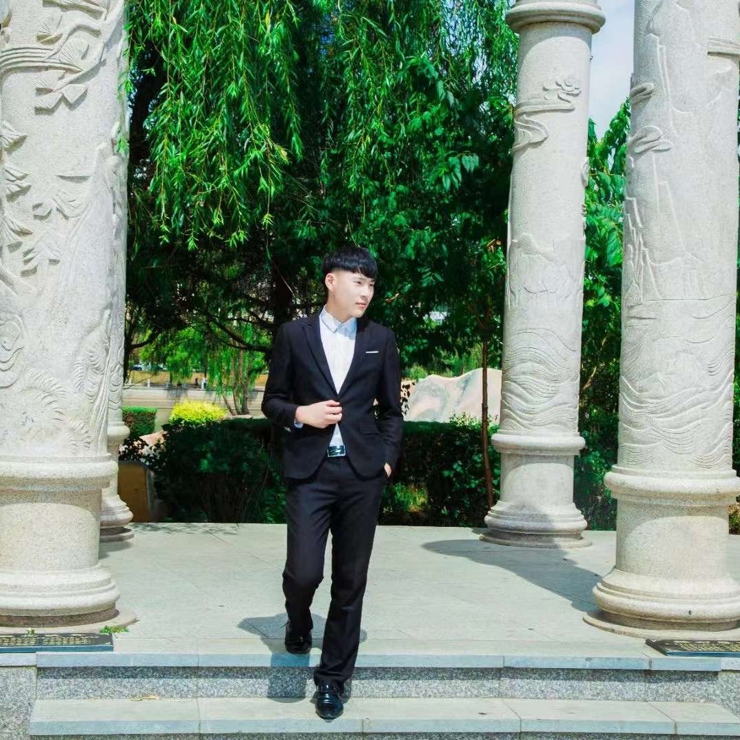 小鸽子蹁跹孤單的照片