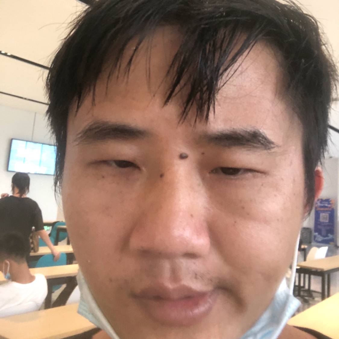 小海豚挽手执着的照片