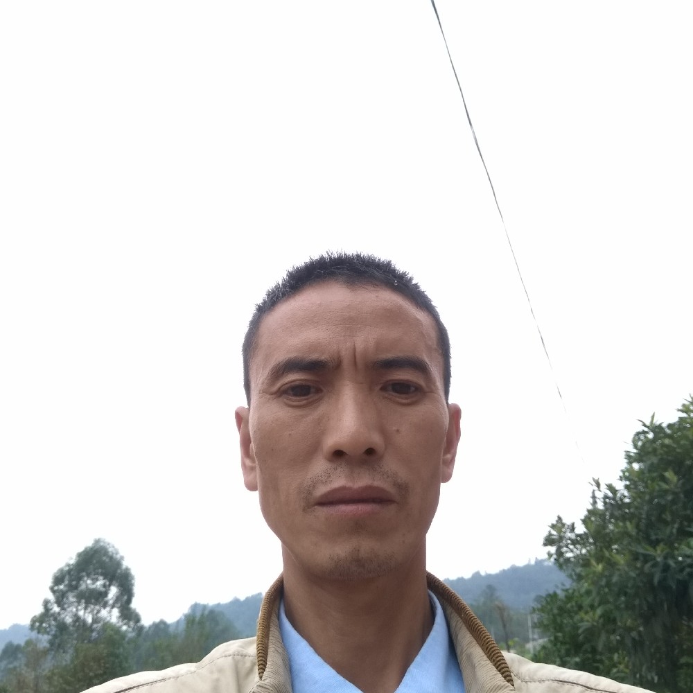 欢喜挽手花瓣的照片