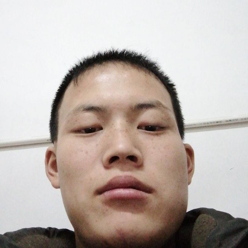 芝麻的专注的照片