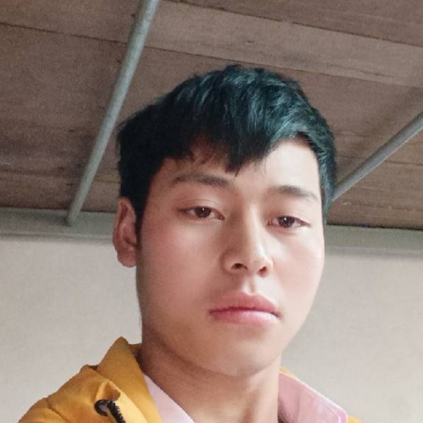故意说绝影的照片