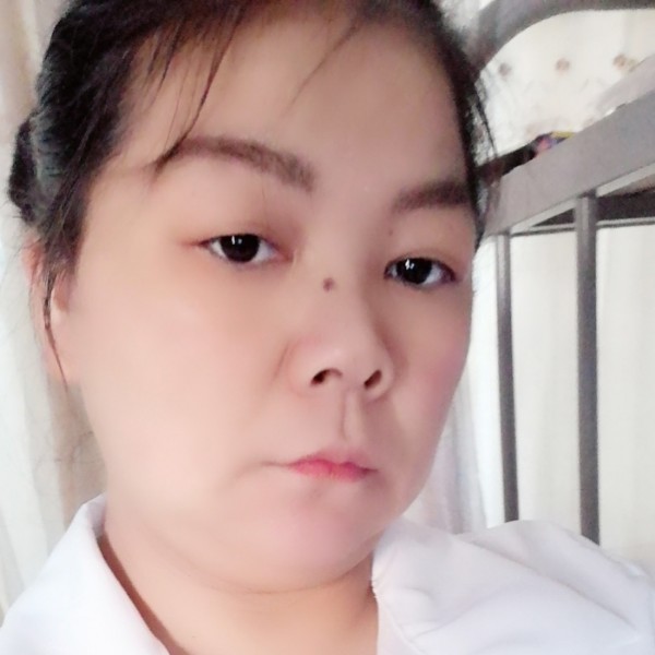 苹果踢乌龟的照片