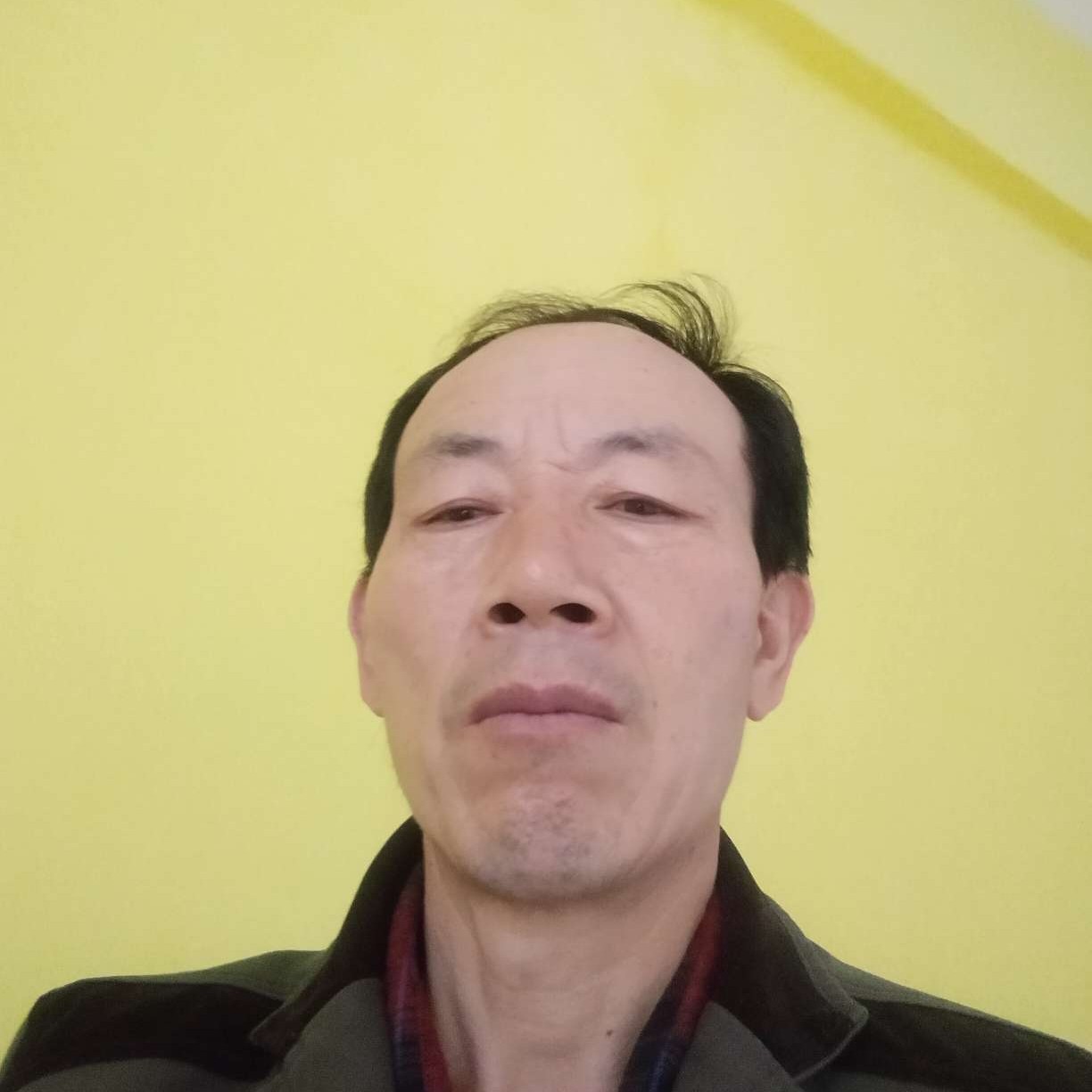 鼠龙猴做朋友的照片