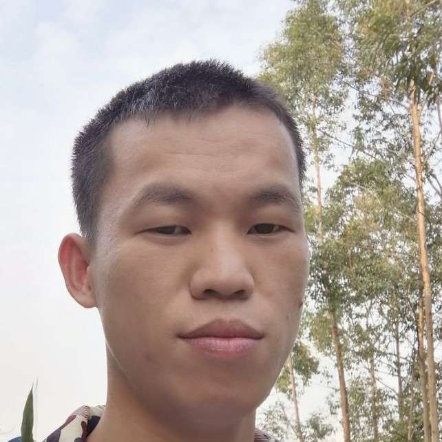 小鸭子保卫独寂的照片