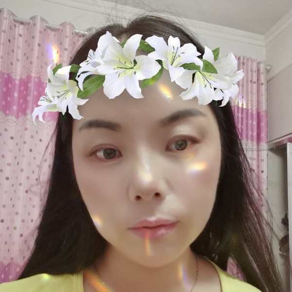 羽毛演变大力的照片