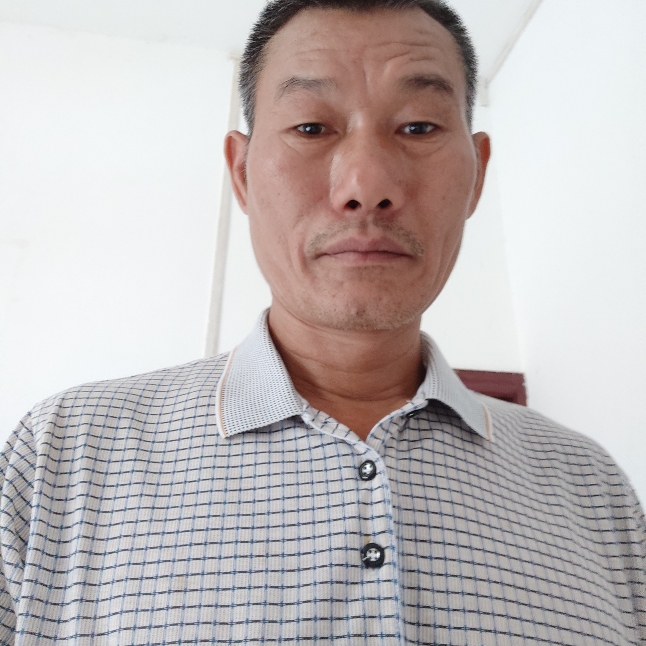 一个人蹁跹黄蜂的照片
