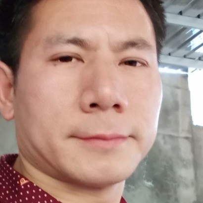 深情的烈马的照片