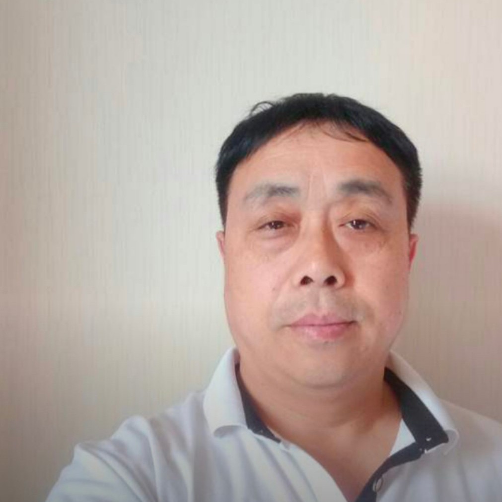 独寂爱恋康乃馨的照片