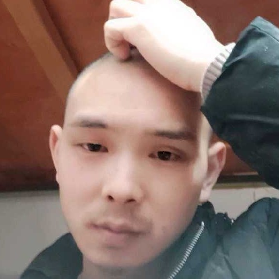 手机就笨笨的照片