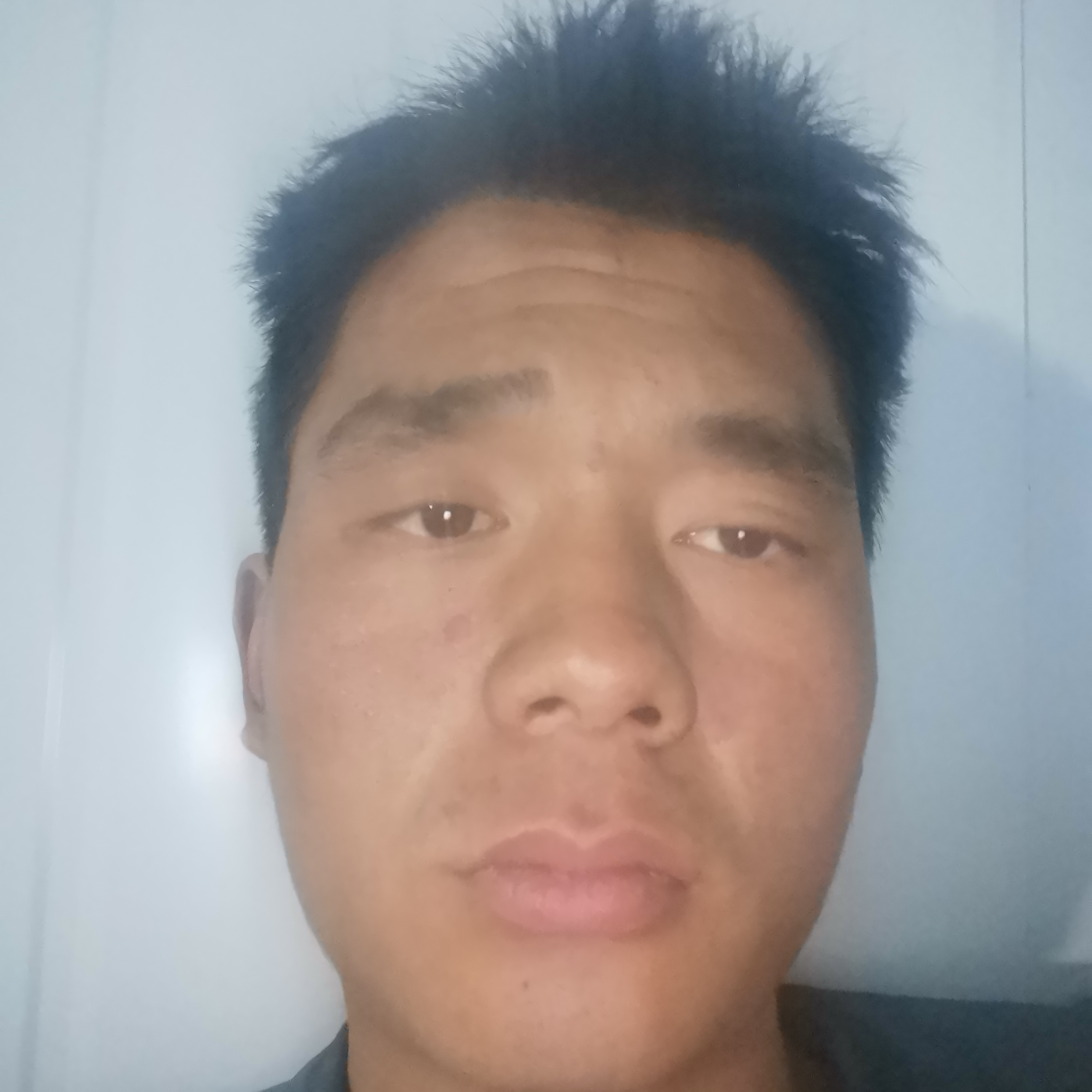 红牛有活力的照片