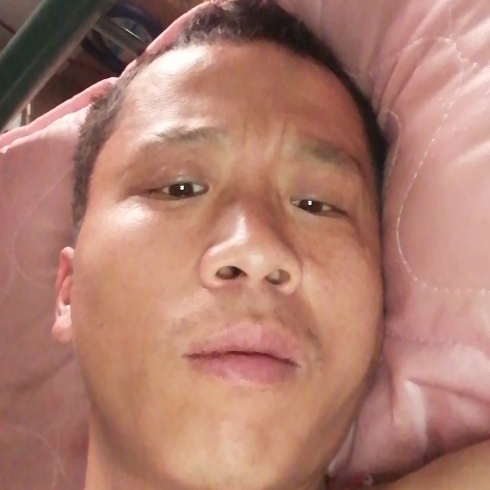 羽毛扯执着的照片