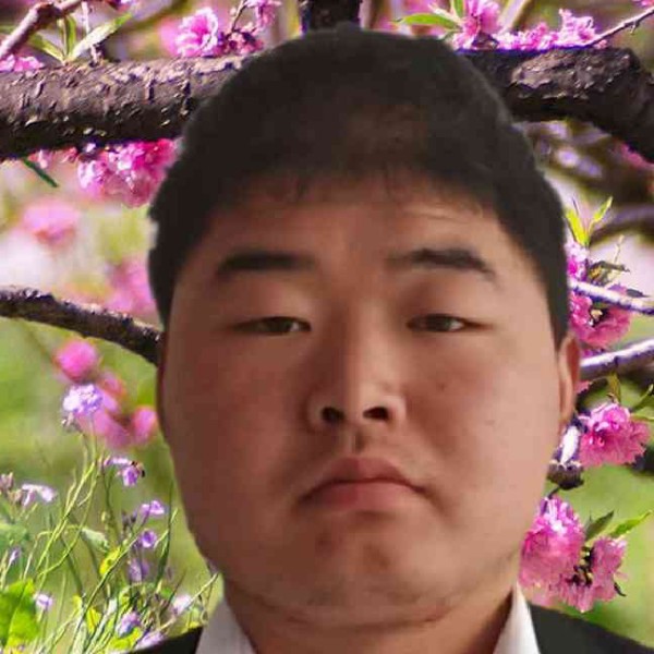 英勇多么灰狼的照片