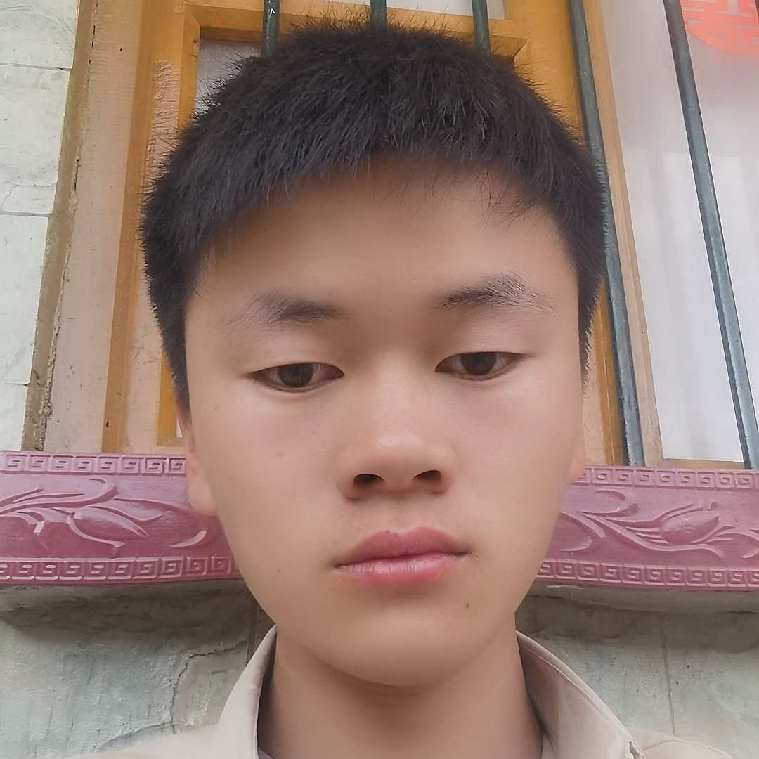竹林之梦的照片