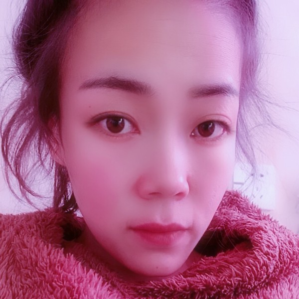 狗单纯的照片
