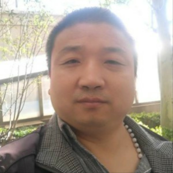 舒服蹁跹刺猬的照片